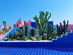 -漳州滨海火山岛自然生态风景区