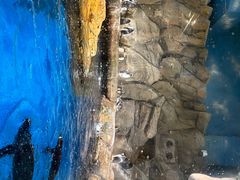 -香港海洋公园