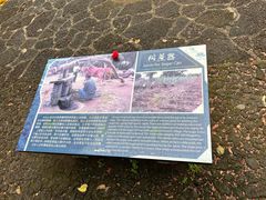 -海口火山口国家地质公园