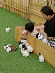 -萌宠亲子动物乐园(槐房万达店)