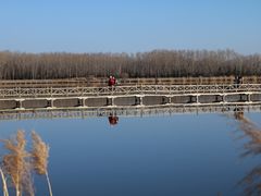 -野鸭湖国家湿地公园
