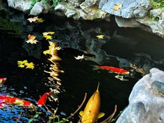 -鲤院·新中式美学·庭院餐厅(夫子庙店)