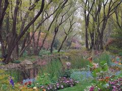 -上海共青森林公园