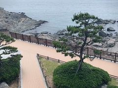 -釜山APEC峰会会议之家