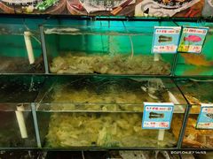 水产区-琼大师东方烤乳猪(亚特兰蒂斯店)