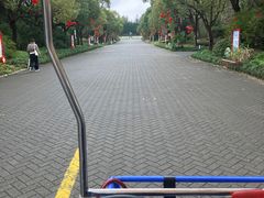 -上海海湾国家森林公园