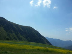 android_upload_pic-蔚县茶山村