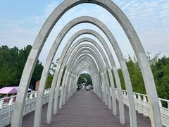 -大兴滨河森林公园