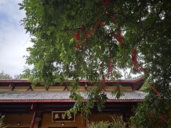 -大伊山景区