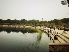 -新江湾城公园