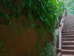 -赤水丹霞旅游区·佛光岩