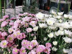 -北边的花店(泛悦城市广场店)