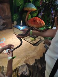 -酷嗒动物文化乐园(cutezoo西溪乐天城店)