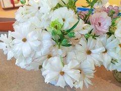 -美丽心情蛋糕(江苏路店)