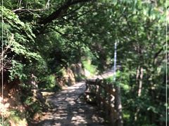 -大岭沟猕猴桃谷风景区