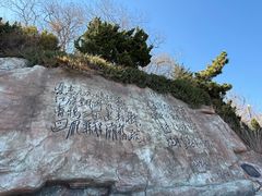 -棒棰岛宾馆景区