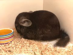 -龙猫仔乐园(惠福东路店)