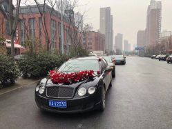 -蚂蚁婚车