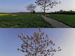 -汉长安城未央宫国家考古遗址公园