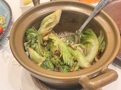 -翠园(北京王府中环店)