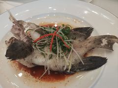 -顺德了能馆(虎门店)