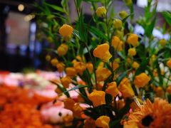 -双季花艺园艺市场(浦东店)