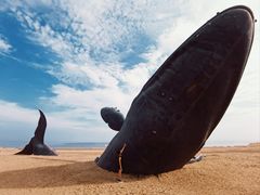 -烟台金沙滩海滨公园