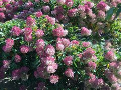 -中国建设银行哈尔滨培训中心