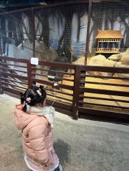 点击看大图 -酷嗒动物文化乐园(cutezoo西溪乐天城店)