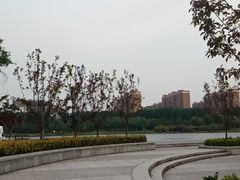 -麦陌(正弘城店)