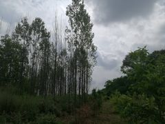 -玉华宫景区