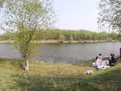 -蒲河岛湿地公园