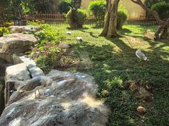-熊猫自助餐厅.萌趣城堡(长隆熊猫酒店)