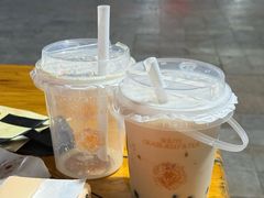-重庆海昌加勒比海水世界