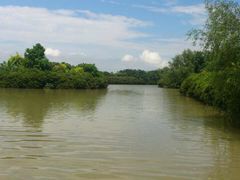 -大湾区中央湿地公园
