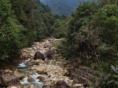 -姑婆山旅游区