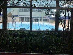 -沈坚强游泳俱乐部(长征分部)