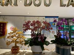 -尚海豆捞(乐虹坊店)