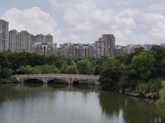 -三垟湿地