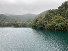 -鼎湖山风景区