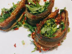 土鳝鱼-五厨火锅(长城西一路店)