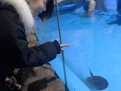 -泉城欧乐堡海洋极地世界