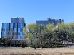 -大兴滨河森林公园