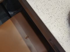 -喜家自助小火锅(乐客城店)