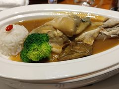 红烧河豚-中国徽菜·徽商故里(广安门店)