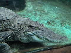 -青藏高原野生动物园