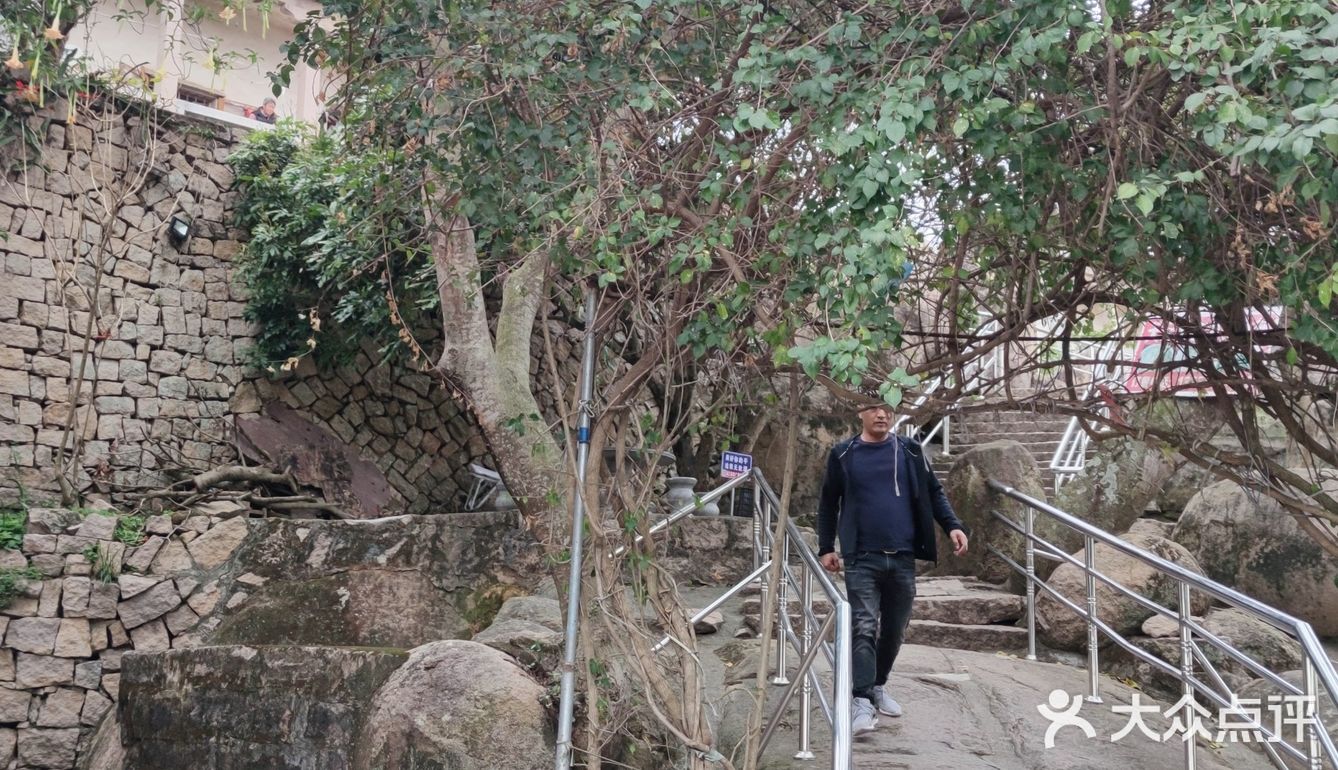 登高而望远，美不胜收，旅游不过就是看看山看看海。看看自己所在