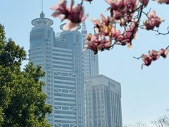 -陆家嘴中心绿地