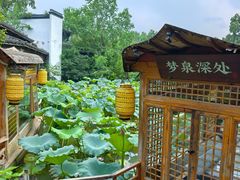 -绿茶餐厅(龙井船宴· 品牌总店)