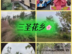 -三圣花乡旅游区
